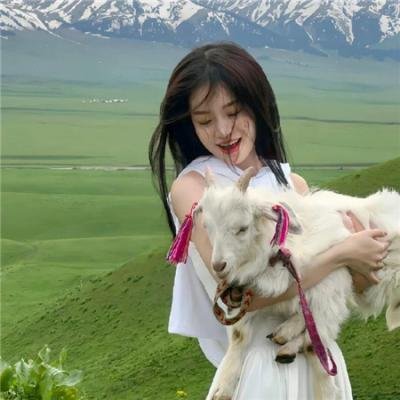 蛇鹤八步粤语