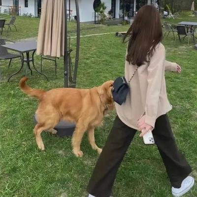 我们的黄金年代